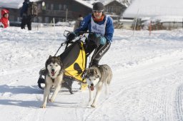 Lenk 2012 SM